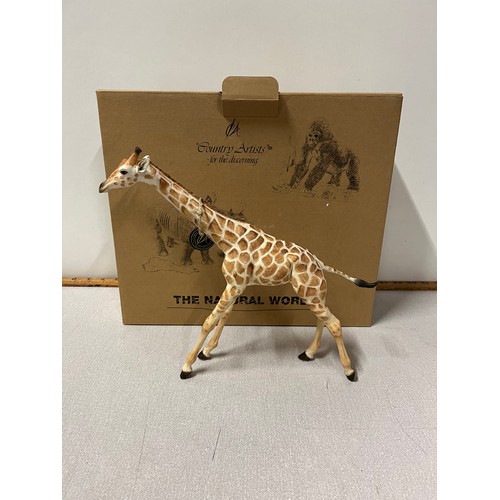 181 - boxed Country Artists The Natural world Giraffe 