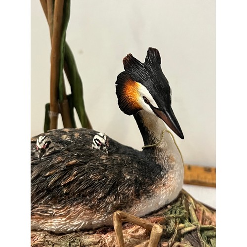 372 - large border fine arts grebe & chicks
22cm x 20cm