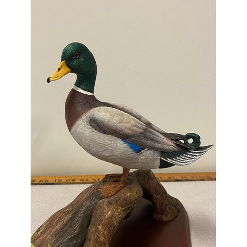 63 - Border fine arts water fowl of the world 'Mallard' by Don Briddell with original box
35cm x 26cm