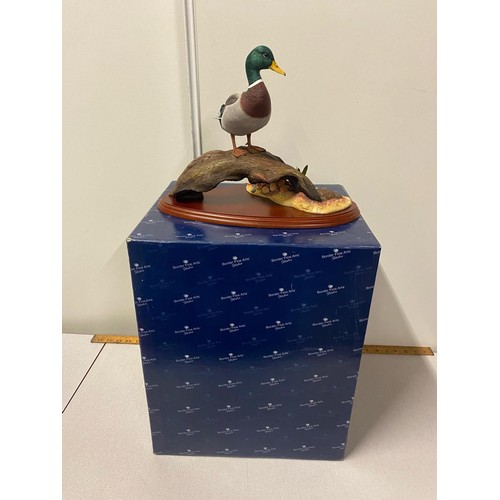 63 - Border fine arts water fowl of the world 'Mallard' by Don Briddell with original box
35cm x 26cm