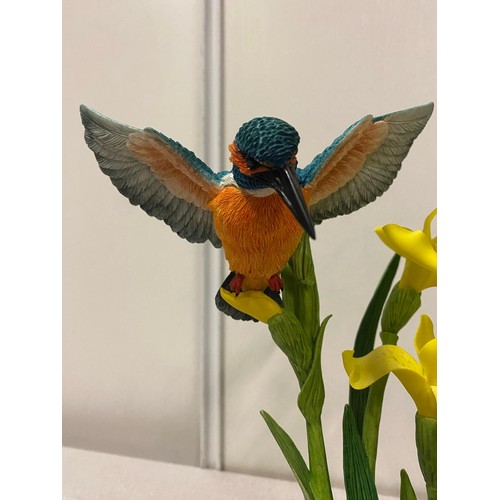 141 - Border Fine Arts Birds 'Kingfisher with yellow flags' by Russell Willis with original box.
24cm tall