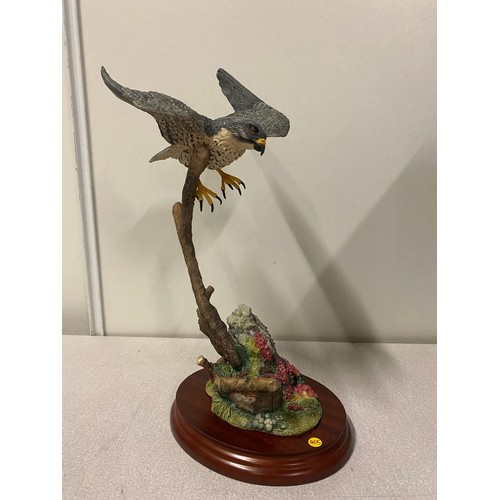 3 - Border Fine Arts 'Flying Peregrine' with original box.
33cm h