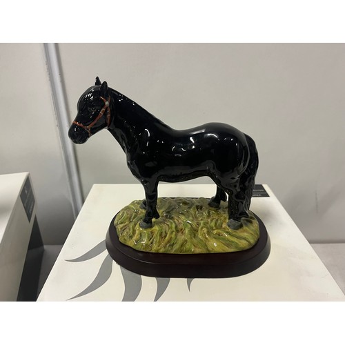 7 - 3 Royal Doulton Animals to include 'Appaloosa', 'Shetland Pony' & 'Appaloosa Foal' all with original... 