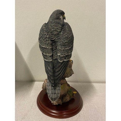 101 - Border fine arts 'Peregrine' with original box 26cm tall