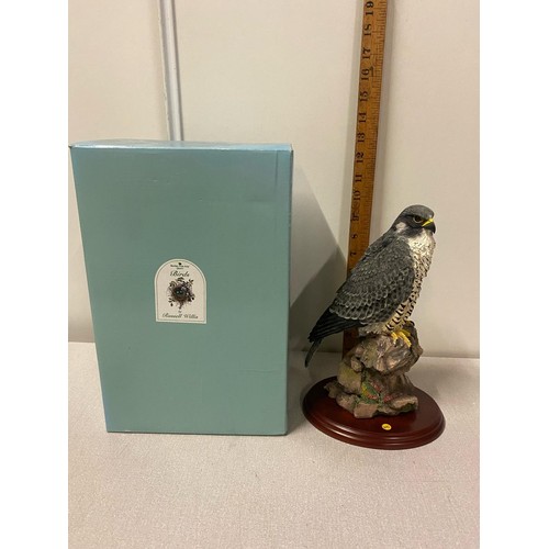 101 - Border fine arts 'Peregrine' with original box 26cm tall