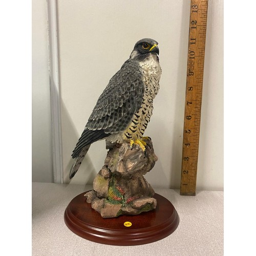 101 - Border fine arts 'Peregrine' with original box 26cm tall