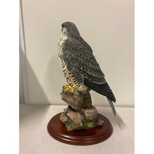 101 - Border fine arts 'Peregrine' with original box 26cm tall