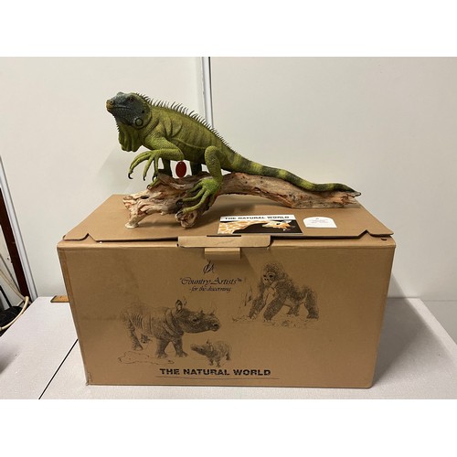 52 - Large Country Artists Iguana 'Seclusion' with original box.
52cm x 24cm