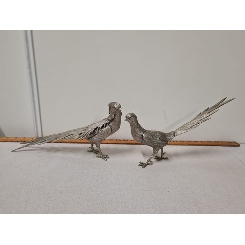 83 - Pair of heavy silver plated pheasants. 35cm long