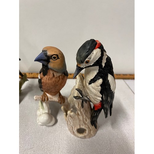 174 - 5 German goebel ceramic birds to include woodpecker , kingfisher etc circa 1960s
17cm h