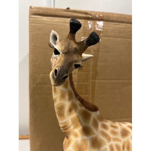 291 - large boxed country artists giraffe
40cm h