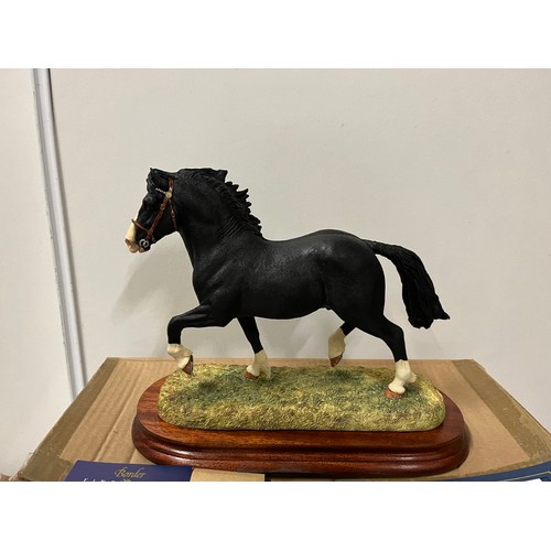 123 - boxed border fine arts welsh cob limited edition 168 of 1250
with certificate of authenticity