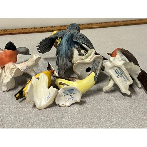 89 - 5 vintage german goebel birds