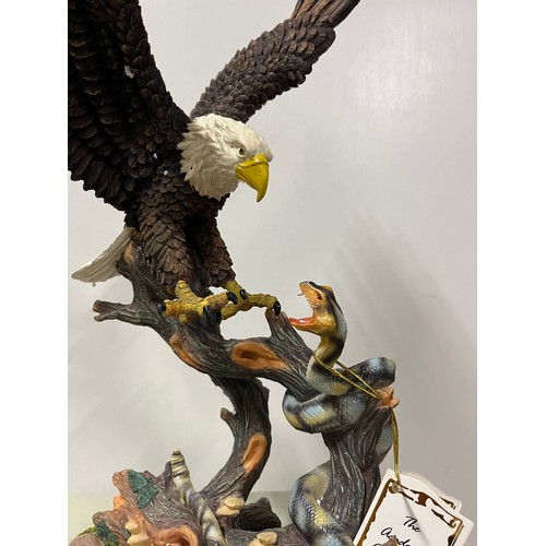 296 - large boxed academy eagle attacking a snake