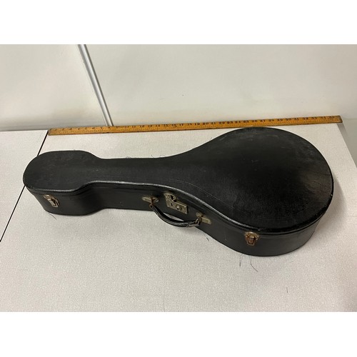 85 - Electric mandolin (The Michigan) with case (has been repaired.