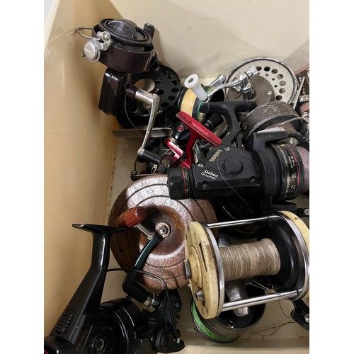 24 - Large collection of fishing reels to include Mitchell, South Bend and Trident etc.