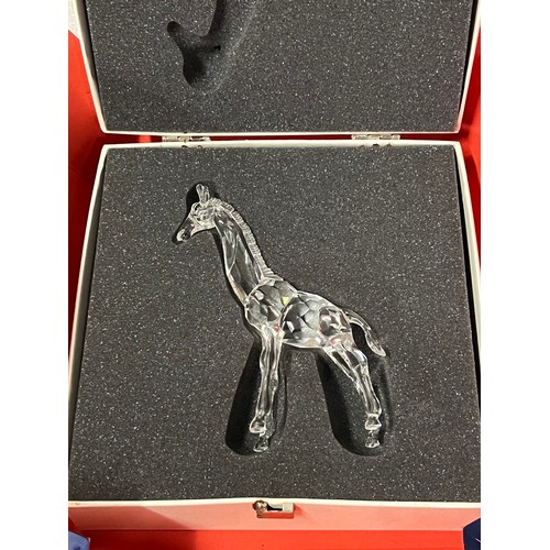 14 - Swarovski crystal baby giraffe with original box.
13.5cm h