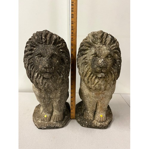 157 - a pair of large antique stone Lions 20 inches tall