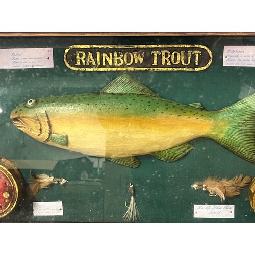 75 - Large vintage Rainbow trout information fly fishing shadow box diorama.
50cm x 29cm