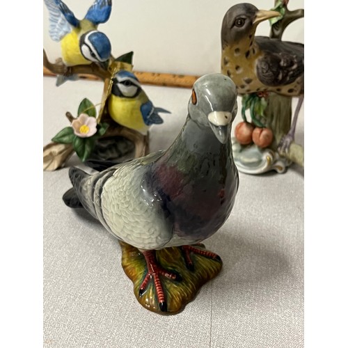 385 - selection of ceramic birds to include beswick & naturecraft