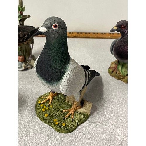 385 - selection of ceramic birds to include beswick & naturecraft