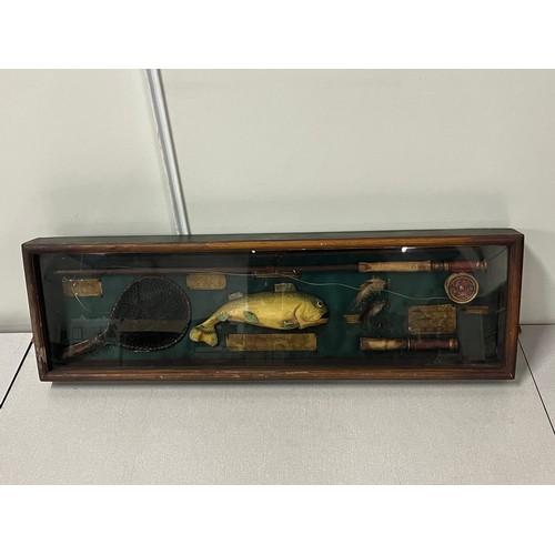 77 - Large vintage Rainbow trout information fly fishing shadow box diorama.
80cm x 24cm