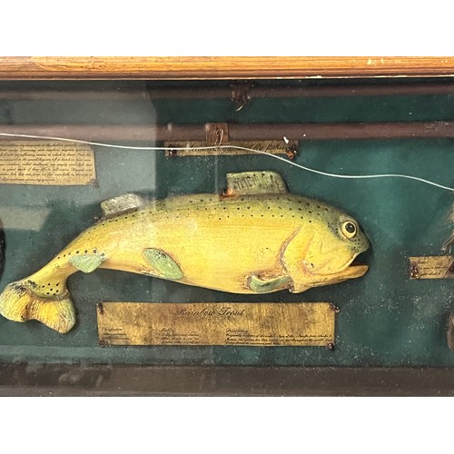 77 - Large vintage Rainbow trout information fly fishing shadow box diorama.
80cm x 24cm