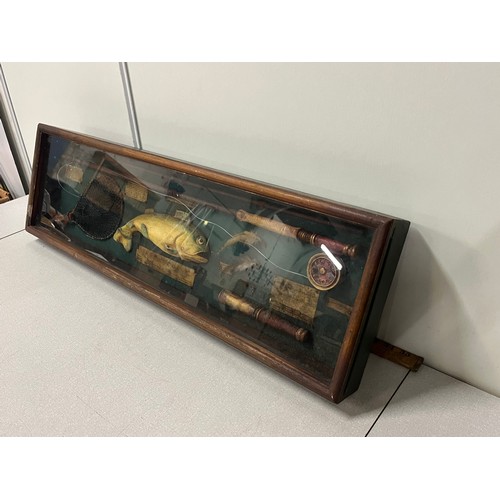 77 - Large vintage Rainbow trout information fly fishing shadow box diorama.
80cm x 24cm