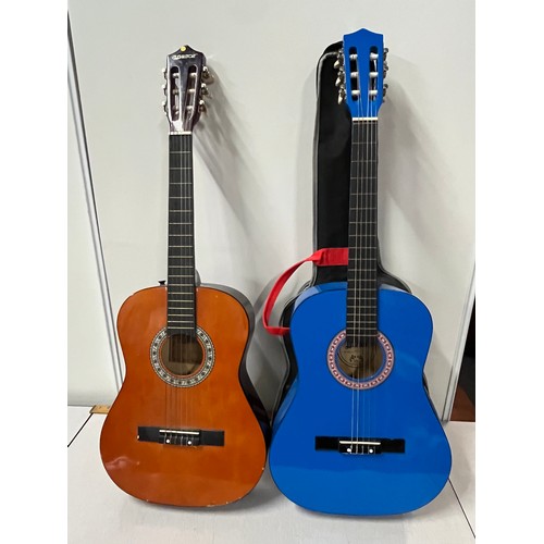 316 - 2 acoustic guitars 1 with soft case.