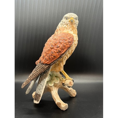 183 - Large rare W. Goebel Falcon 1969.
9