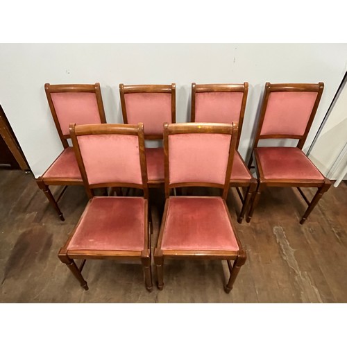 504 - 6 solid oak & upholstered dining chairs