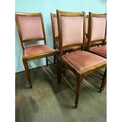 504 - 6 solid oak & upholstered dining chairs