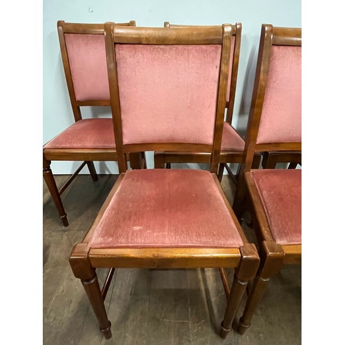 504 - 6 solid oak & upholstered dining chairs