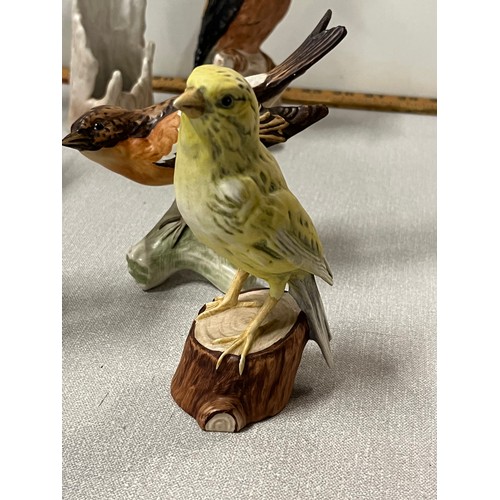 125 - collection of 11 large vintage Goebel birds circa 1960/70s