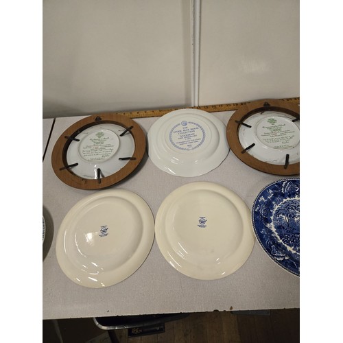 411 - Selection of collectors plates to include Wedgwood, Spode & Limoges with Van Hygen Smythe frames.