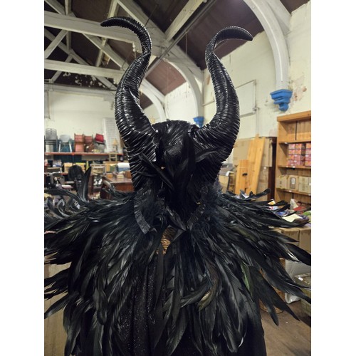 507 - maleficent costume & accessories