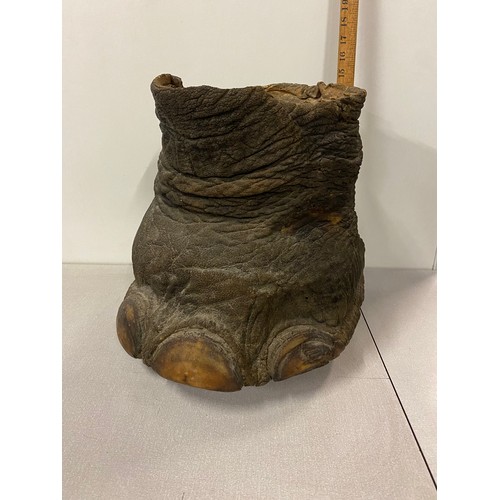 100 - Antique taxidermy elephant foot bin. 14.5