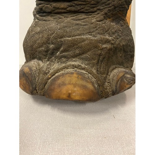 100 - Antique taxidermy elephant foot bin. 14.5