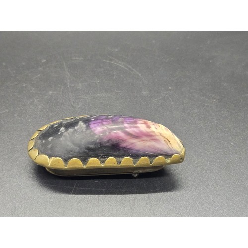 75 - Late 19th/Early 20th century snuff box formed from mussel shell.