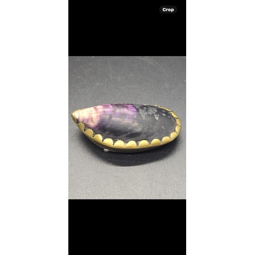 75 - Late 19th/Early 20th century snuff box formed from mussel shell.