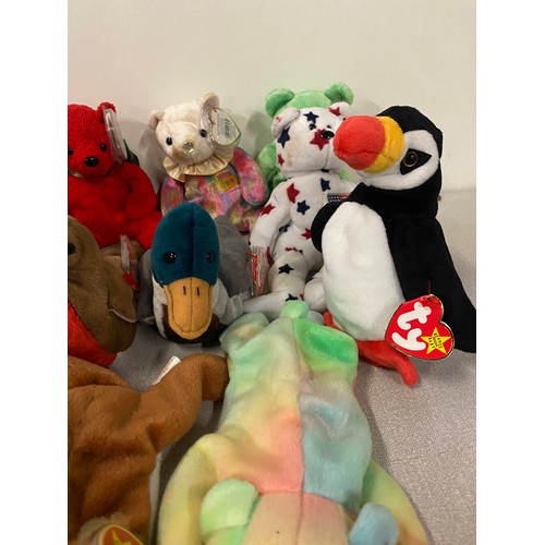 185 - 14 TY Beanie babys all with tags to include Robin, Mallard & Tucan etc