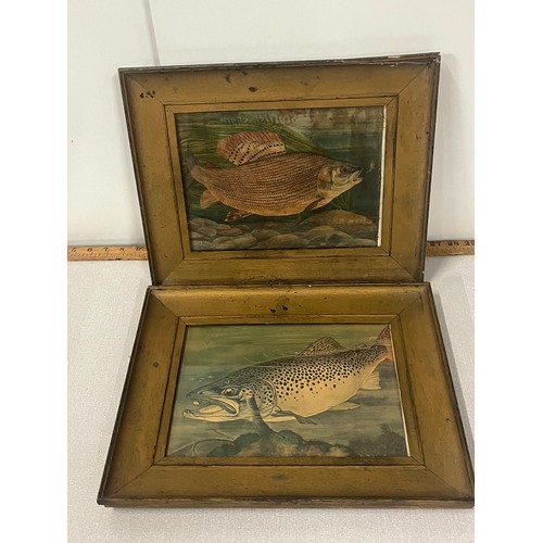 32 - A pair of antique framed prints of fish by keith linsell