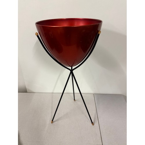 Lot 51        