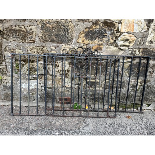 382 - Pair of vintage wrought iron garden gates with scroll design 57.5x37