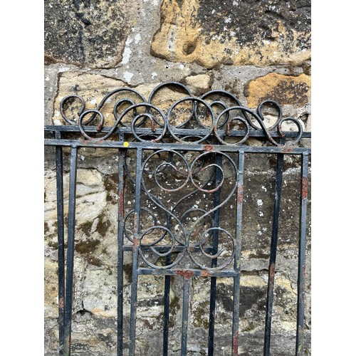 382 - Pair of vintage wrought iron garden gates with scroll design 57.5x37