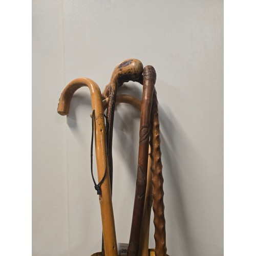259 - Selection of wooden walking sticks to include carved rattle snake etc.