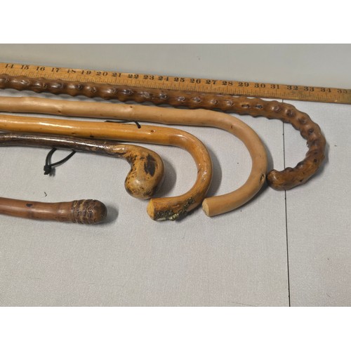 259 - Selection of wooden walking sticks to include carved rattle snake etc.