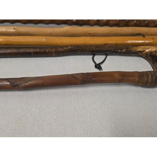259 - Selection of wooden walking sticks to include carved rattle snake etc.