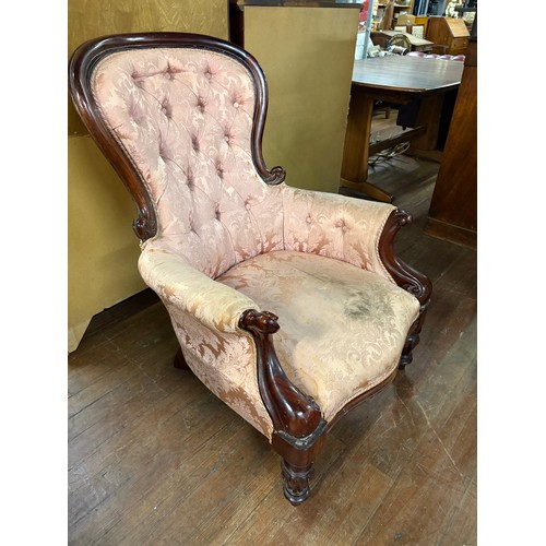 236 - Victorian mahogany framed gentleman's arm chair with button back and carved supports (needs cleaned)... 
