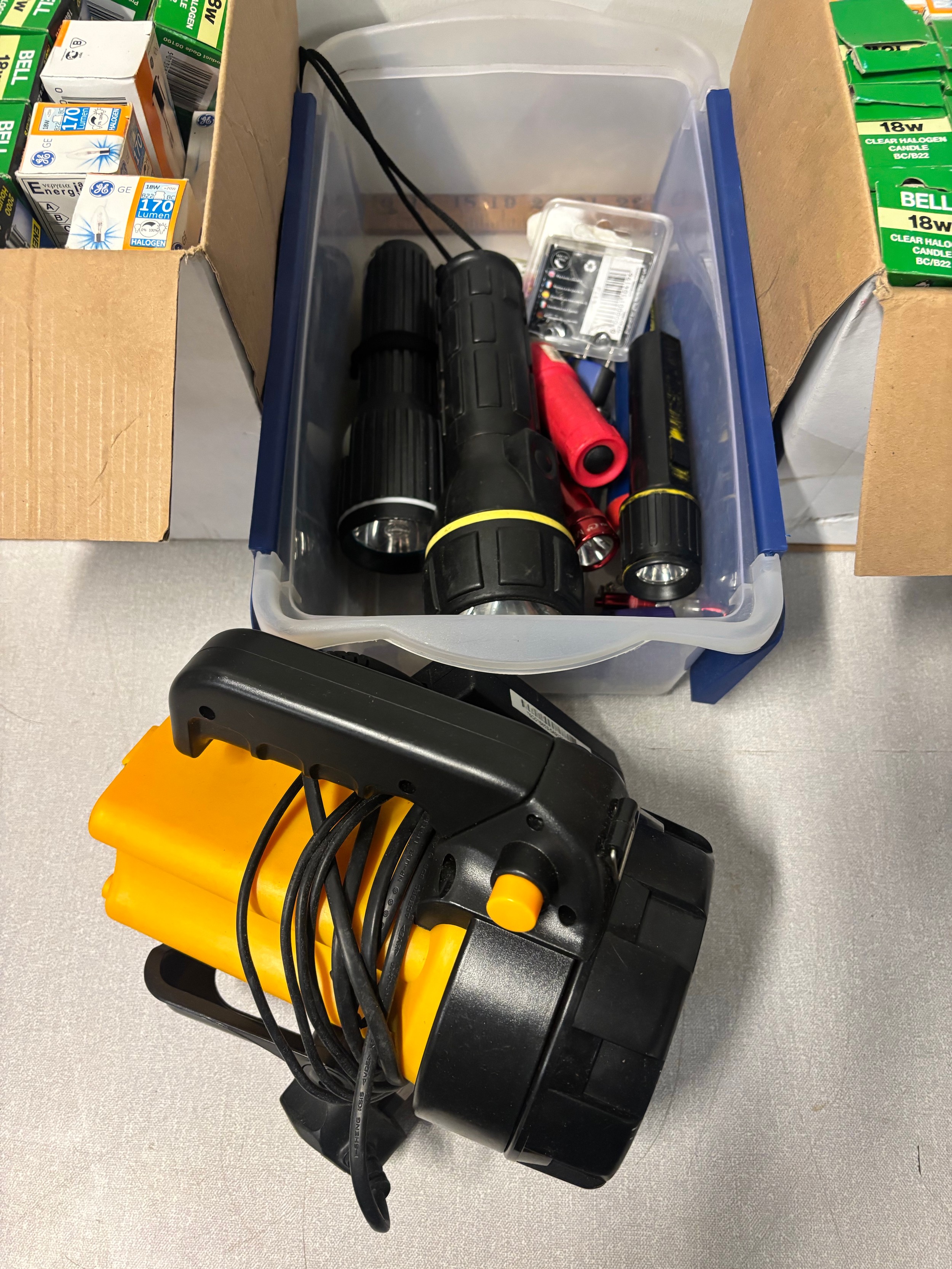 Box of assorted torches along with 2 boxed of 18w light bulbs.